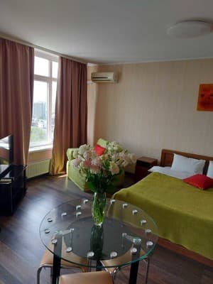 Студия с невероятным видом 2